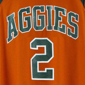 Orange-Out CSU Game-Worn Basketball Jersey #2 (Lg)
