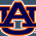 Auburn Sports Memorabilia Auctions